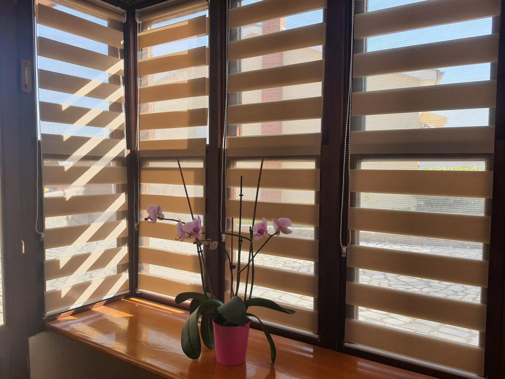 Apartments Vesna Avsec - 克尔克 客房 照片
